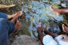 2018-09-06-11.54.21-2