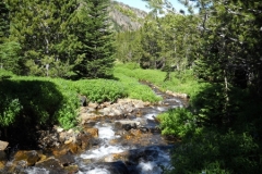 DSCN1402