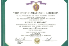 Seths-Purple-Heart