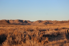 IMG_5012-Copy